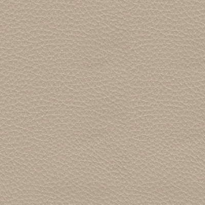 Silla Reclinable Pisgham Eléctrica