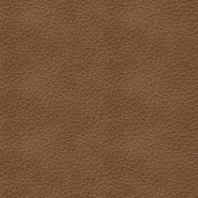 Silla Reclinable Trasimeno Eléctrica