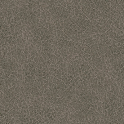 Sala Modular Reclinable Eléctrica Starbot 5 Piezas