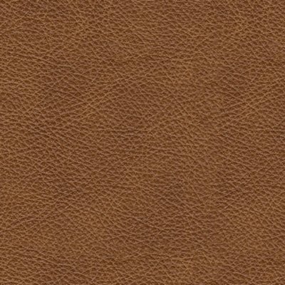 Sala Modular Emilia 6 Piezas