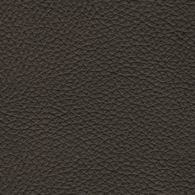 Sofá de Dos Puestos Belziani