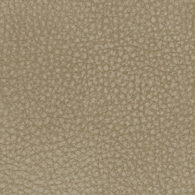 Silla Reclinable Next-Gen DuraPella Eléctrica