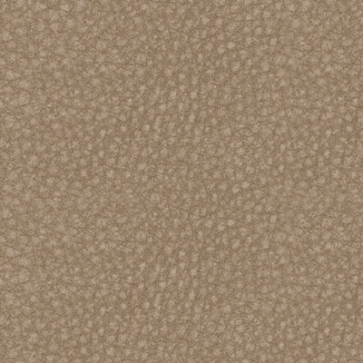 Sala Modular Reclinable Eléctrica Next-Gen DuraPella 6 Piezas