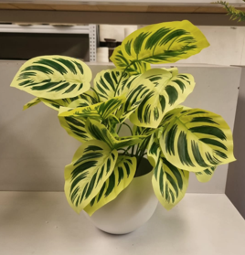 Esfera 16 cm  BLANCA + Calatea Artificial 12 hojas