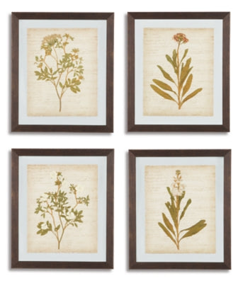 Dyani Wall Art (Set of 4) | Multi | Ancho: 58.4cm - Alto: 68.6cm - Prof: 1.2cm
