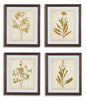 Dyani Wall Art (Set of 4) | Multi | Ancho: 58.4cm - Alto: 68.6cm - Prof: 1.2cm