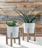 Domele Planter (Set of 2)