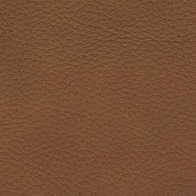 Sala Modular Reclinable Eléctrica Rally-Up 5 Piezas