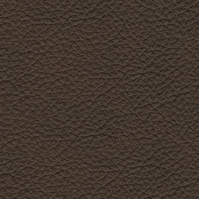 Sofá de Dos Puestos Leesworth Power Reclining