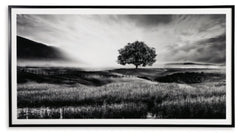 Deborland Wall Art | Black/White | Ancho: 220.0cm - Alto: 118.1cm - Prof: 3.8cm