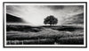 Deborland Wall Art | Black/White | Ancho: 220.0cm - Alto: 118.1cm - Prof: 3.8cm
